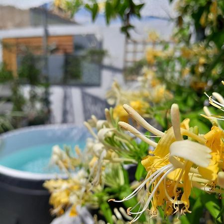 Le Petit Patio Bed and Breakfast Aigues-Mortes Buitenkant foto