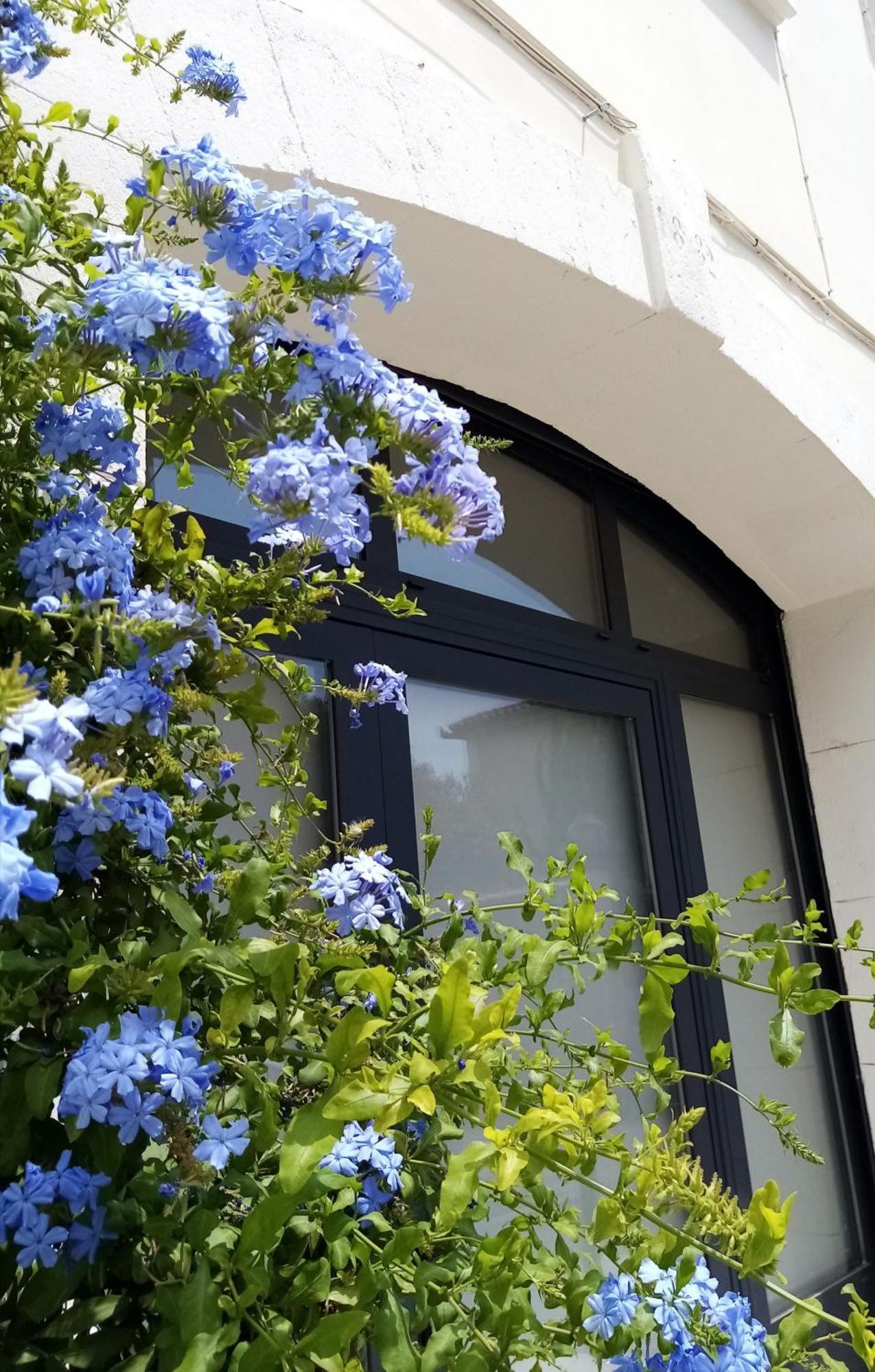 Le Petit Patio Bed and Breakfast Aigues-Mortes Buitenkant foto
