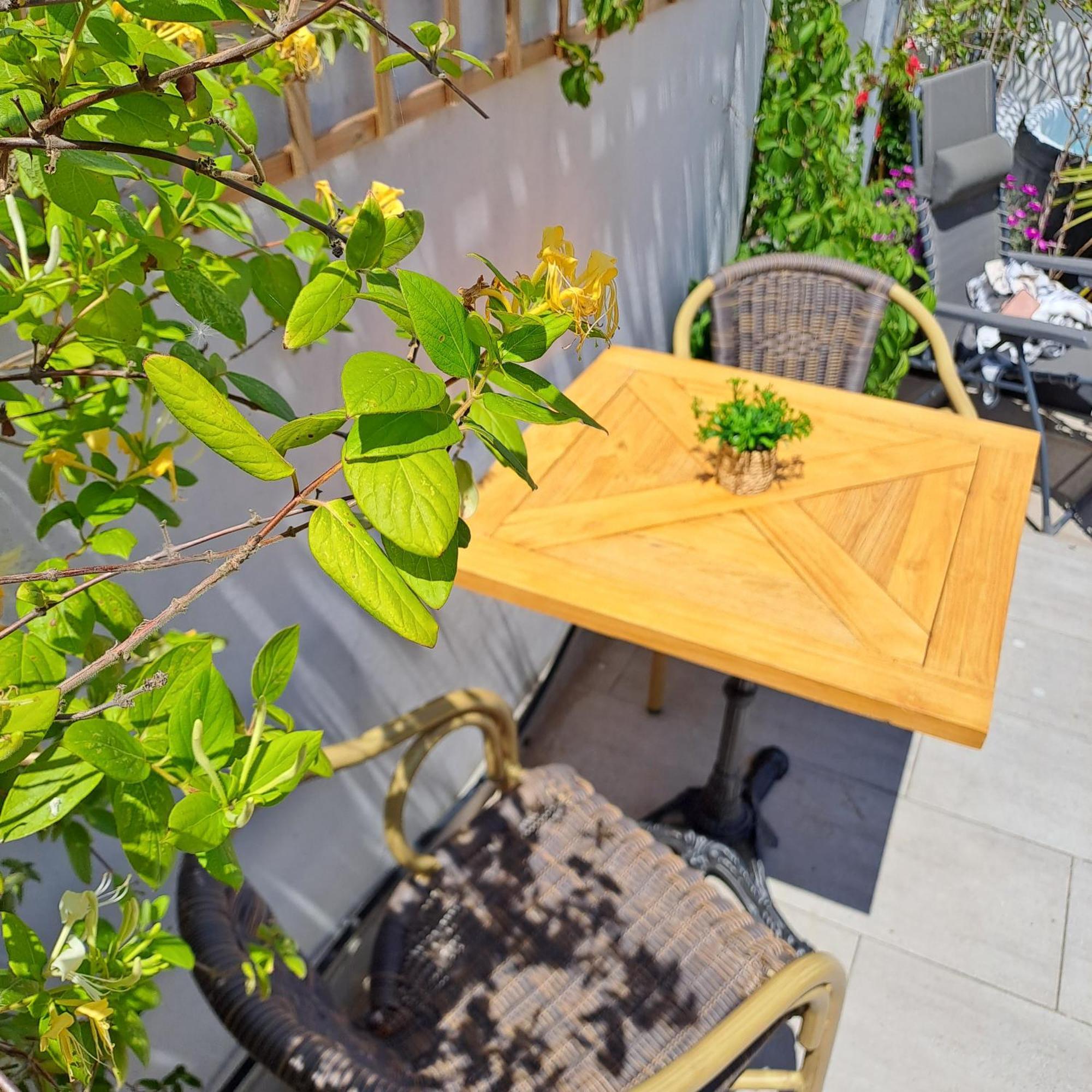 Le Petit Patio Bed and Breakfast Aigues-Mortes Buitenkant foto