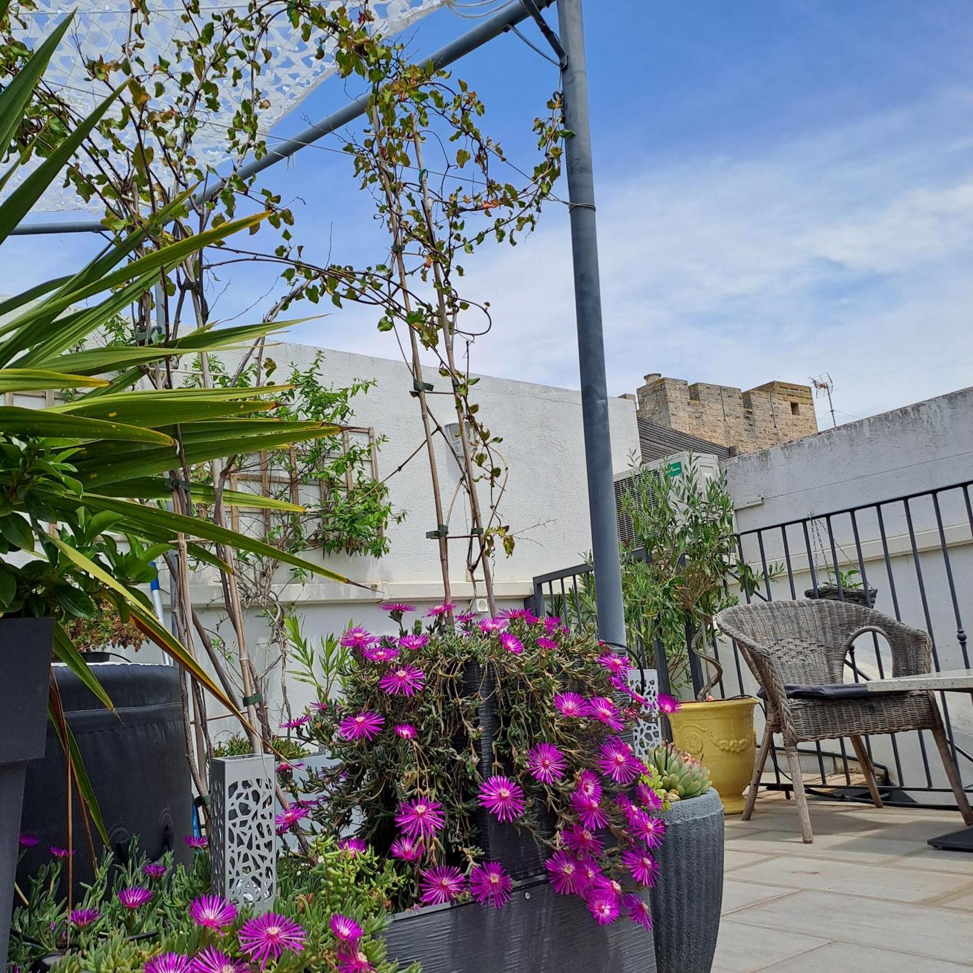Le Petit Patio Bed and Breakfast Aigues-Mortes Buitenkant foto